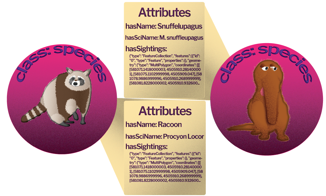 Illustration of entities 'racoon' and 'Snuffelupagus', each with the class, species, and spatial data about sightings.